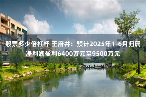 股票多少倍杠杆 王府井：预计2025年1-6月归属净利润盈利6400万元至9500万元