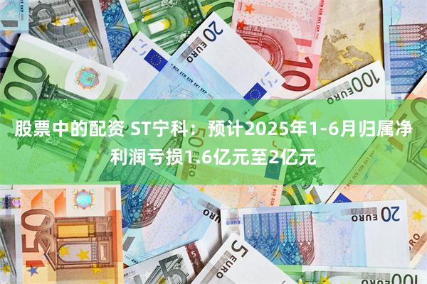 股票中的配资 ST宁科：预计2025年1-6月归属净利润亏损1.6亿元至2亿元