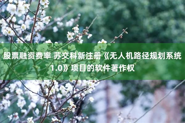股票融资费率 苏交科新注册《无人机路径规划系统1.0》项目的软件著作权