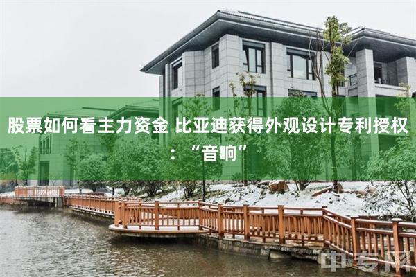 股票如何看主力资金 比亚迪获得外观设计专利授权：“音响”