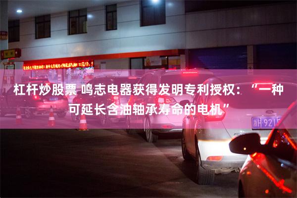 杠杆炒股票 鸣志电器获得发明专利授权：“一种可延长含油轴承寿命的电机”