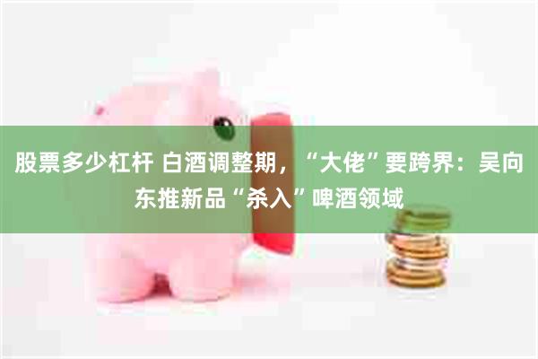 股票多少杠杆 白酒调整期，“大佬”要跨界：吴向东推新品“杀入”啤酒领域