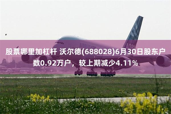 股票哪里加杠杆 沃尔德(688028)6月30日股东户数0.92万户，较上期减少4.11%