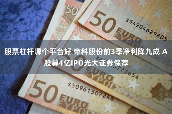 股票杠杆哪个平台好 帝科股份前3季净利降九成 A股募4亿IPO光大证券保荐