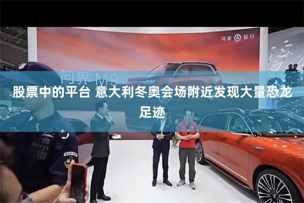 股票中的平台 意大利冬奥会场附近发现大量恐龙足迹