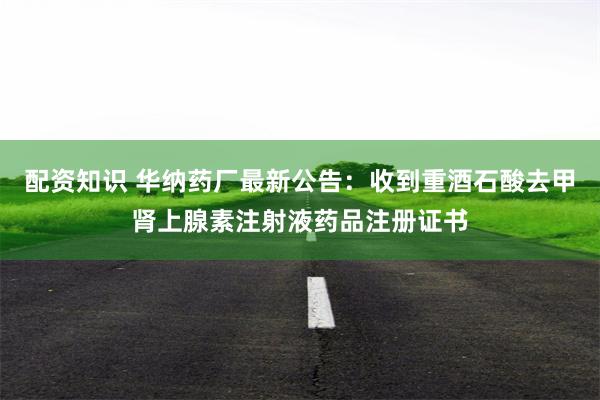 配资知识 华纳药厂最新公告:收到重酒石酸去甲肾上腺素注射液药品注册证书