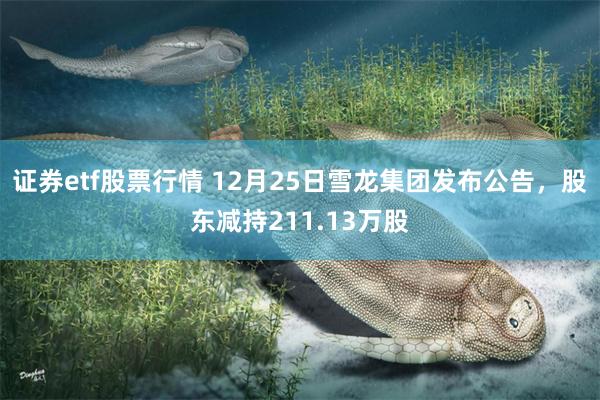 证券etf股票行情 12月25日雪龙集团发布公告，股东减持211.13万股