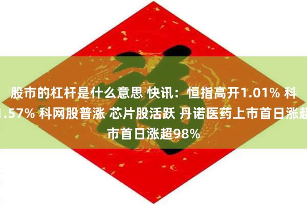 股市的杠杆是什么意思 快讯：恒指高开1.01% 科指涨1.57% 科网股普涨 芯片股活跃 丹诺医药上市首日涨超98%