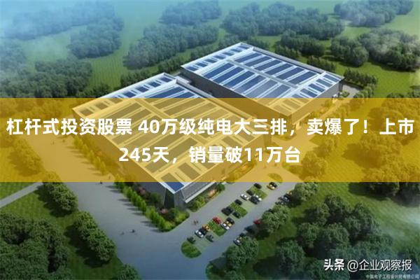 杠杆式投资股票 40万级纯电大三排，卖爆了！上市245天，销量破11万台