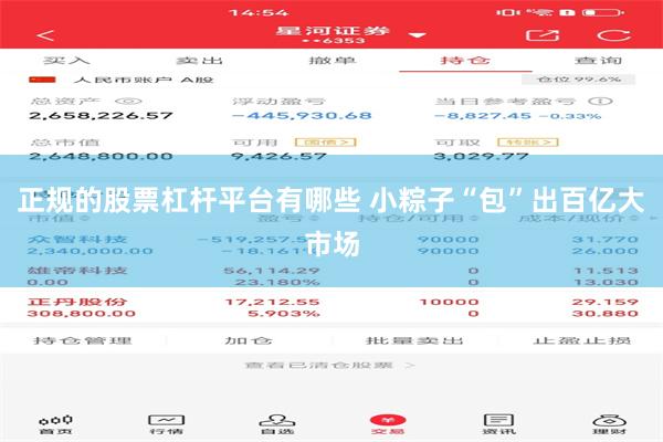 正规的股票杠杆平台有哪些 小粽子“包”出百亿大市场
