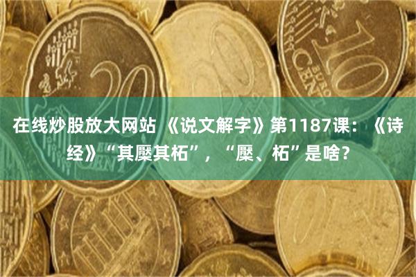 在线炒股放大网站 《说文解字》第1187课：《诗经》“其檿其柘”，“檿、柘”是啥？