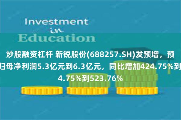 炒股融资杠杆 新锐股份(688257.SH)发预增，预计半年度归母净利润5.3亿元到6.3亿元，同比增加424.75%到523.76%