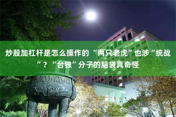 炒股加杠杆是怎么操作的 “两只老虎”也涉“统战”？“台独”分子的脑袋真奇怪