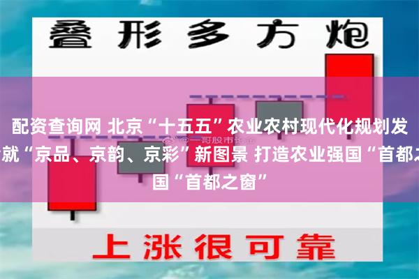 配资查询网 北京“十五五”农业农村现代化规划发布 绘就“京品、京韵、京彩”新图景 打造农业强国“首都之窗”