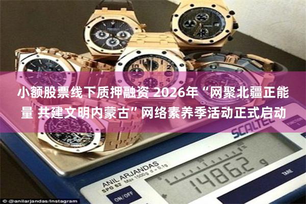 小额股票线下质押融资 2026年“网聚北疆正能量 共建文明内蒙古”网络素养季活动正式启动