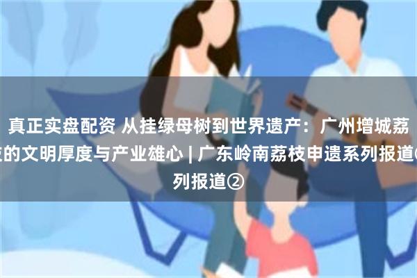 真正实盘配资 从挂绿母树到世界遗产：广州增城荔枝的文明厚度与产业雄心 | 广东岭南荔枝申遗系列报道②