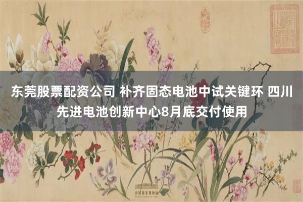 东莞股票配资公司 补齐固态电池中试关键环 四川先进电池创新中心8月底交付使用
