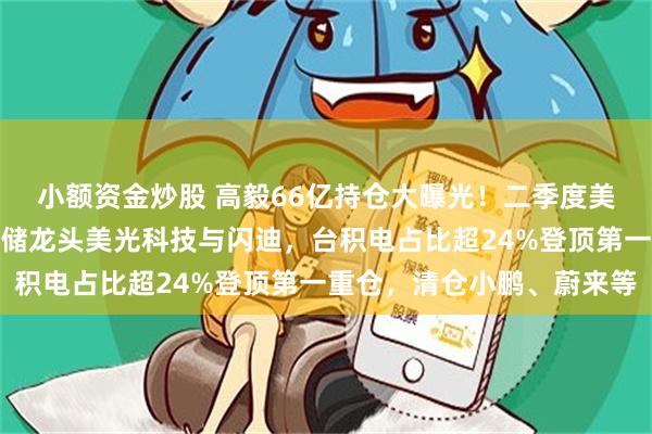 小额资金炒股 高毅66亿持仓大曝光！二季度美股大调仓：大幅加仓存储龙头美光科技与闪迪，台积电占比超24%登顶第一重仓，清仓小鹏、蔚来等