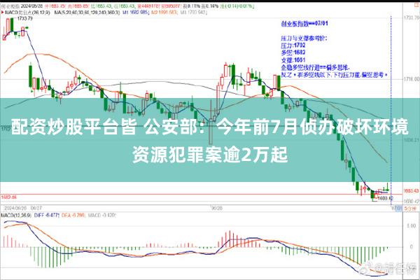 配资炒股平台皆 公安部：今年前7月侦办破坏环境资源犯罪案逾2万起
