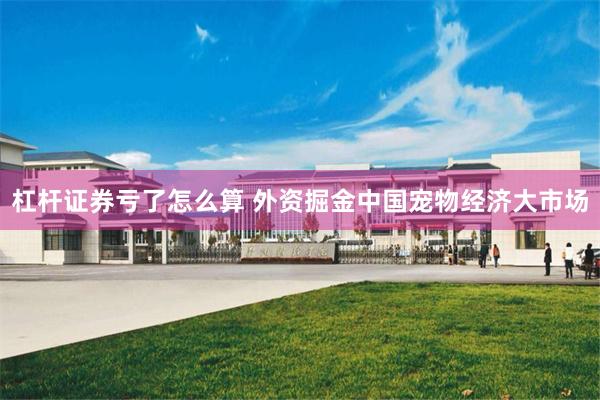 杠杆证券亏了怎么算 外资掘金中国宠物经济大市场
