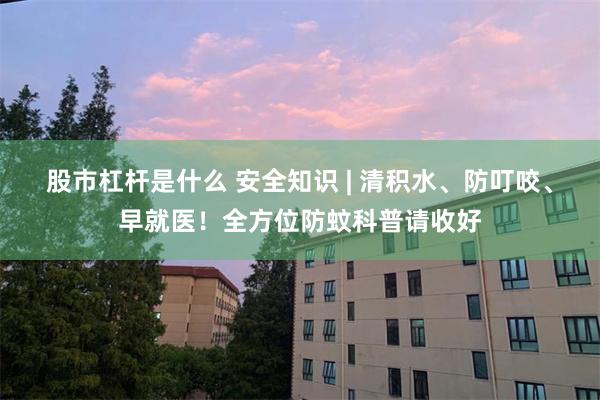 股市杠杆是什么 安全知识 | 清积水、防叮咬、早就医！全方位防蚊科普请收好