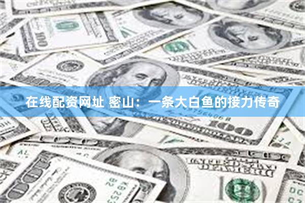 在线配资网址 密山：一条大白鱼的接力传奇