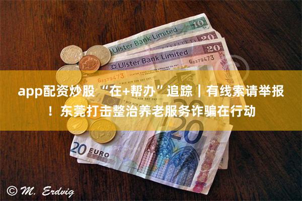 app配资炒股 “在+帮办”追踪｜有线索请举报！东莞打击整治养老服务诈骗在行动