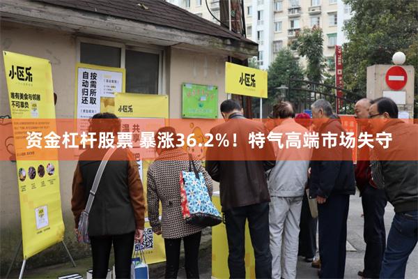 资金杠杆股票 暴涨36.2%！特气高端市场失守