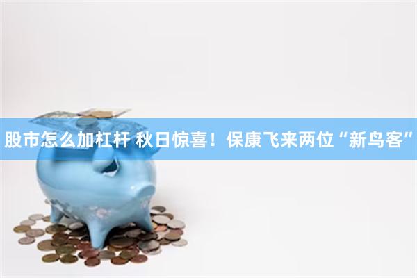股市怎么加杠杆 秋日惊喜！保康飞来两位“新鸟客”