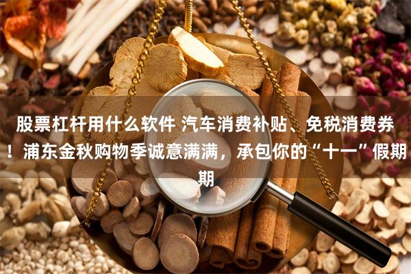 股票杠杆用什么软件 汽车消费补贴、免税消费券！浦东金秋购物季诚意满满，承包你的“十一”假期