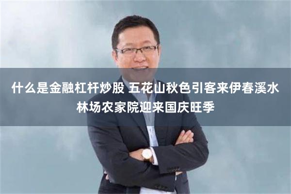 什么是金融杠杆炒股 五花山秋色引客来伊春溪水林场农家院迎来国庆旺季
