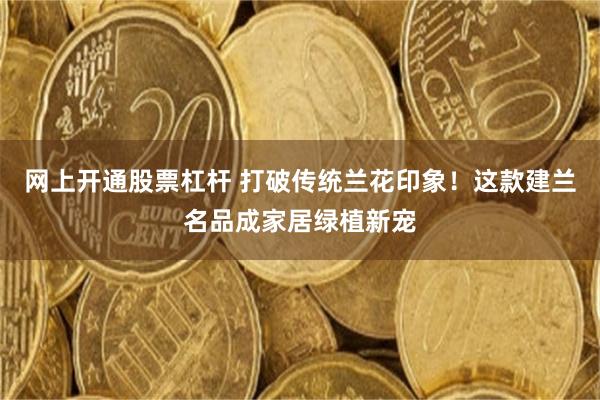 网上开通股票杠杆 打破传统兰花印象！这款建兰名品成家居绿植新宠